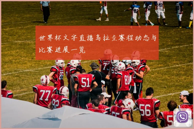 世界杯文字直播乌拉圭赛程动态与比赛进展一览