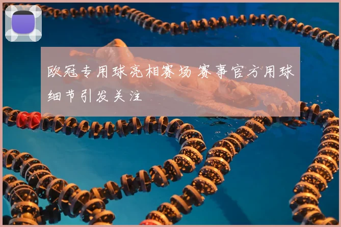 欧冠专用球亮相赛场 赛事官方用球细节引发关注