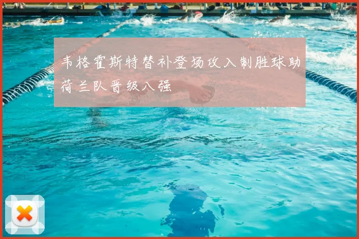 韦格霍斯特替补登场攻入制胜球助荷兰队晋级八强